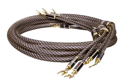 WEITER ZUR ARTIKELAUSWAHL