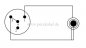 Preview: Miniklinkenstecker 3,5mm stereo auf Mini XLR-Stecker REAN (Neutrik) RT4MC-B ( 2x 0,22qmm )