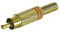 Preview: DIN-Stecker 5 pol 3+5 bel. auf  2 x RCA-Stecker