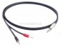 Preview: Messleitung-Miniklinkenstecker 3,5mm stereo auf 2 x Miniatur-Bananenstecker 2mm