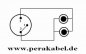 Preview: XLR-Buchse auf 2 x RCA-Buchsen DAP AV-48
