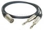 Preview: XLR-Stecker DAP auf 2 x Klinkenstecker 6,3mm DAP (8x4/2x 0,22qmm)