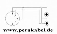 DIN-Stecker ( DIN  1 + 4 belegt ) auf 2 Klinkenstecker 6,3mm mono DAP AV-48