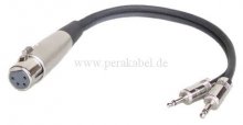 XLR-Buchse 4 polig auf 2x Miniklinkenstecker 3,5mm  0,2m