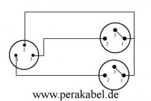 DIN-Stecker 3 polig auf 2x XLR-Buchsen ( 8x4/2x 0,22qmm)