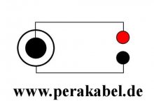 Miniklinkenstecker 3,5mm mono auf 2 x Miniatur-Bananenstecker 2mm