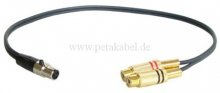 Mini XLR-Buchse auf 2 RCA-Buchsen