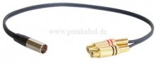 Mini XLR-Stecker auf 2 RCA-Buchsen