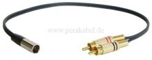 Mini XLR-Stecker auf 2 RCA-Stecker