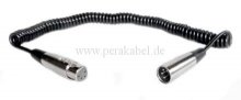 Spiralkabel - XLR 4 polig ( Schirm an Gehäuse )