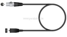 USB-C  auf  XLR-Buchse (Interface)