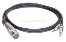 XLR-Buchse 4 polig auf 2x Miniklinkenstecker