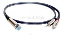 XLR-Buchse 5 polig auf 2x Miniklinkenstecker stereo (D)