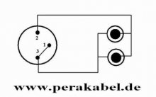 XLR-Buchse auf 2 x RCA-Buchsen DAP AV-48