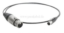 XLR-Buchse NC3FXX auf Mini XLR-Buchse RT3FC-B ( SC-Cicada SO-D14 )