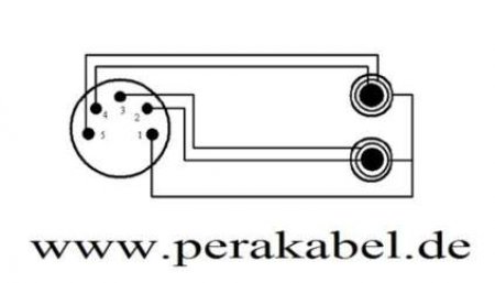 XLR-Stecker 5 polig auf 2 Klinkenstecker stereo (S)