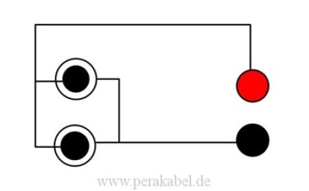 2 x RCA (Cinch)-Stecker auf 2 x Bananenstecker 4mm