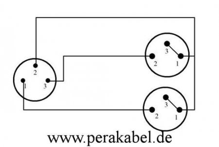 DIN-Stecker 3 polig auf 2x XLR-Buchsen ( 8x4/2x 0,22qmm)