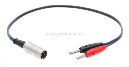 DIN-Stecker auf 2 x Bananenstecker 4mm