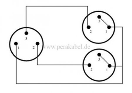 XLR-Stecker auf 2x XLR-Buchsen (DAP X-type) - Insertkabel ( C121 )