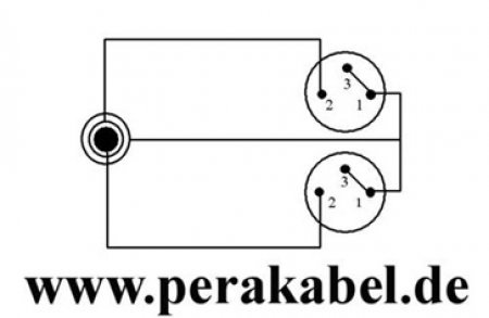 Klinkenstecker 6,3mm stereo auf 2x XLR-Buchsen (DAP X-type) - Insertkabel ( C121 )