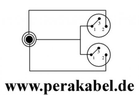 Klinkenstecker 6,3mm stereo auf 2x XLR-Stecker (DAP X-type) - Insertkabel ( C121 )