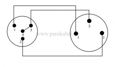XLR-Stecker Neutrik 3pol auf Mini XLR-Buchse Neutrik 4pol ( 2x 0,22qmm )