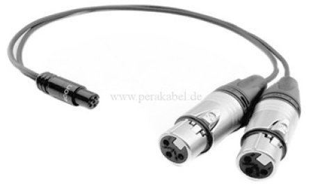 Mini XLR-Buchse 5 polig auf 2x XLR-Stecker 3 polig