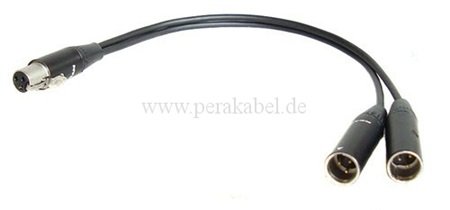 Mini XLR-Buchse RT3FC-B auf 2 Mini XLR-Stecker RT3MC-B