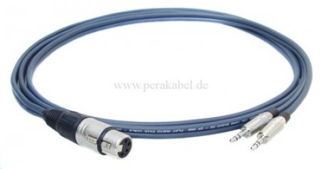 XLR-Buchse 4 polig auf 2x Miniklinkenstecker stereo