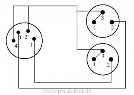 XLR-Buchse 4 polig auf 2 XLR-Stecker 3 polig