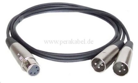 XLR-Buchse 4 polig auf 2 XLR-Stecker 3 polig