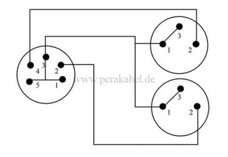 XLR-Buchse 5 polig Martin auf 2 XLR-Stecker 3 polig Martin ( 2x 0,22qmm unsymmetrisch ) 0,2m