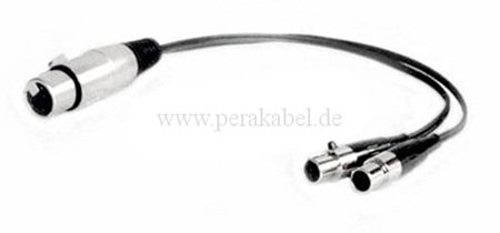 XLR-Buchse 3pol auf 2 Mini XLR-Buchsen 3pol
