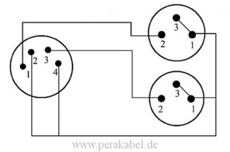 XLR-Stecker 4 polig auf 2 XLR-Buchsen 3 polig 0,2m