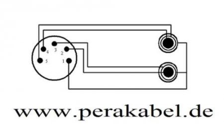 XLR-Stecker 5 polig auf 2x Klinkenbuchsen 6,3mm stereo