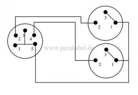 XLR-Stecker 5 polig Martin auf 2 XLR-Buchsen 3 polig Martin ( 2x 0,22qmm unsymmetrisch ) 0,2m