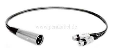 XLR-Stecker auf 2 x RCA-Buchsen DAP AV-48