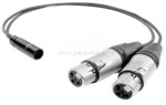 Mini XLR-Stecker 5 polig auf 2x XLR-Buchse 3 polig
