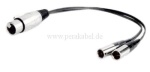 XLR-Buchse 3pol auf 2 Mini XLR-Stecker 3pol