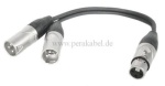 Y-Kabel (symmetrisch) XLR-Buchse auf 2 x XLR-Stecker (DAP X-type)
